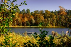 LRM_EXPORT_100158589906895_20181014_100106638