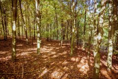 LRM_EXPORT_105975978803165_20181014_125157855