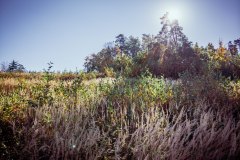 LRM_EXPORT_106107506573480_20181014_125409383