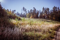 LRM_EXPORT_106165221828770_20181014_125507098