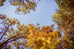 LRM_EXPORT_106311364431996_20181014_125733241