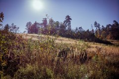 LRM_EXPORT_106382712569468_20181014_125845043