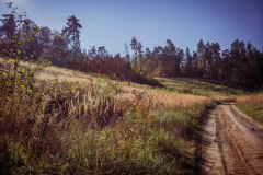 LRM_EXPORT_106407696784355_20181014_125910027