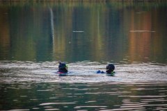 LRM_EXPORT_8981668076467_20181014_221243531