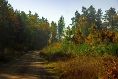 LRM_EXPORT_91284234785124_20181013_220728478