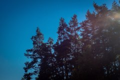 LRM_EXPORT_91477511116769_20181013_221108927