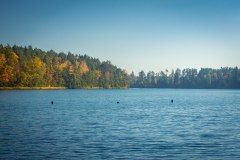 LRM_EXPORT_91827059646636_20181013_221658475