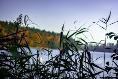 LRM_EXPORT_91884719041405_20181013_221756135