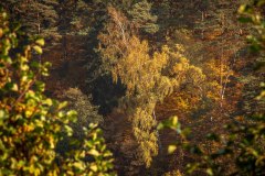 LRM_EXPORT_91922304433214_20181013_221833720