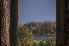 LRM_EXPORT_92107308124654_20181013_222138724