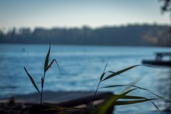 LRM_EXPORT_92312448696346_20181013_222503864