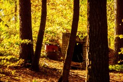 LRM_EXPORT_92406267526675_20181013_222637683