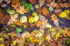 LRM_EXPORT_92791367021112_20181013_223302783