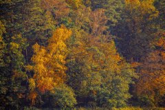 LRM_EXPORT_92976981708280_20181013_223608398