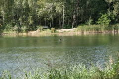 SONY DSC
