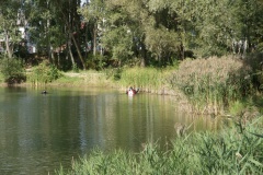 SONY DSC