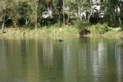 SONY DSC